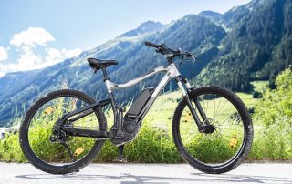 Bosch E-Bike Motor